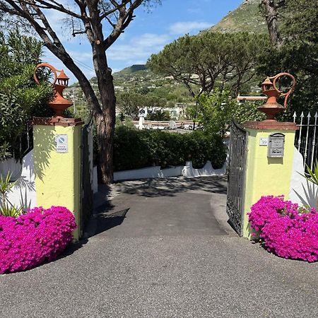 Hotel Park Calitto Forio di Ischia エクステリア 写真